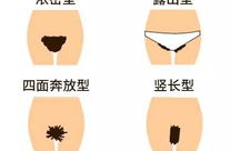 女人私密都是什么形状,探寻女性私密部位的多样形态